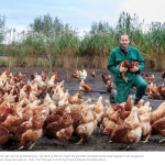 Screen_Shot_2019-09-24_at_15.52.23.XCDTp