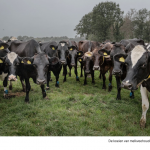 Screen_Shot_2019-09-24_at_15.55.35.RGpGX