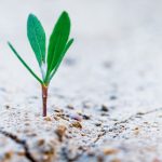 Transitie-coalitie-voedsel-overige-themas.TBjJC