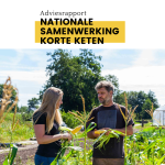 Ontwerp zonder titel (4)